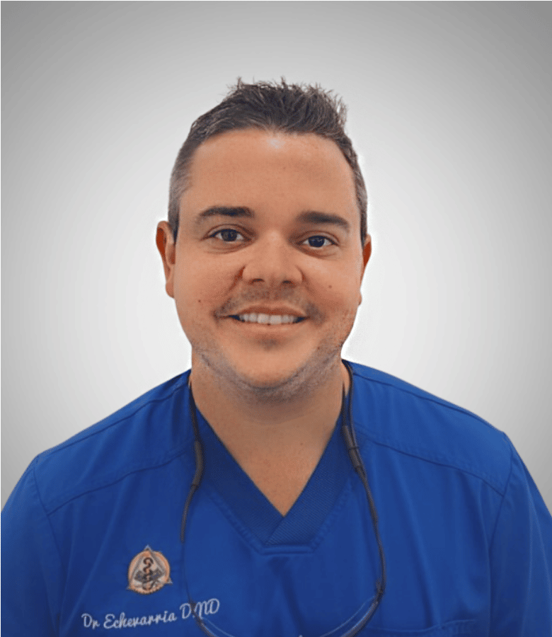 Javier Echevarria, DMD  in Lakeland, FL